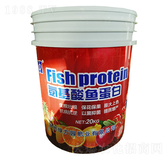 �������~(y��)���� �G���@�ʘI(y��)