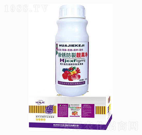 ���P�����n����-�A������