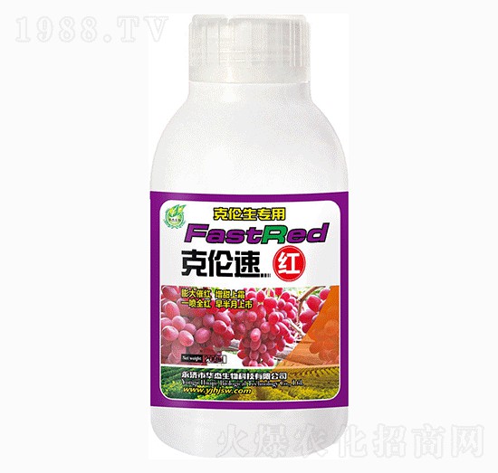 �˂��ټt-�A������