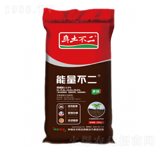 �������� �������� ��ľ������