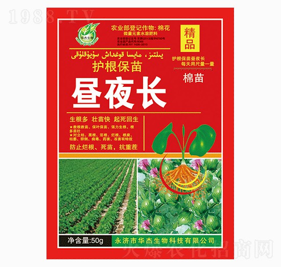 �o(h��)�����畃ҹ�L-�A������