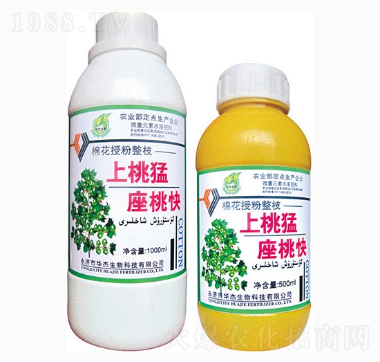 ���������ҿ�-�A������