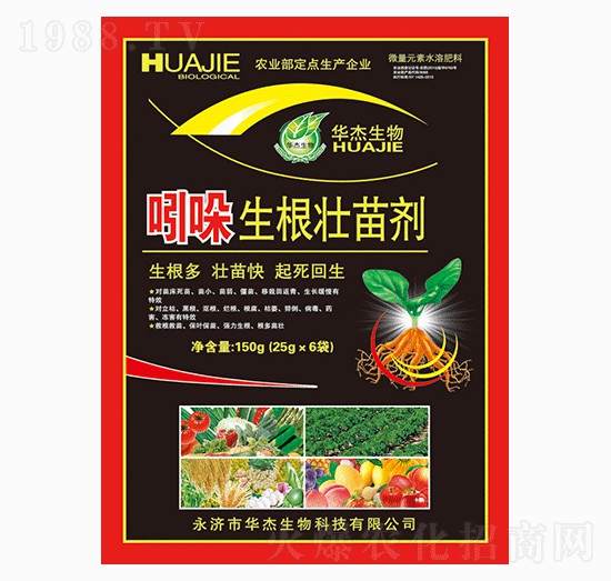 �����������焩-�A������