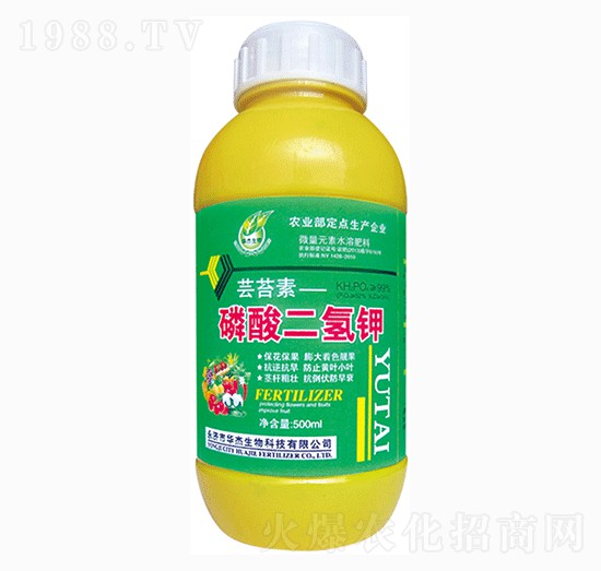 500ml��������-�A������