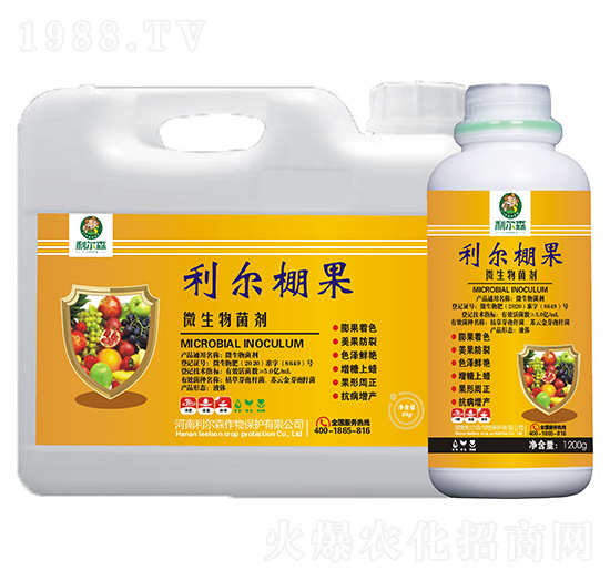 ΢�������-�������-����ɭ