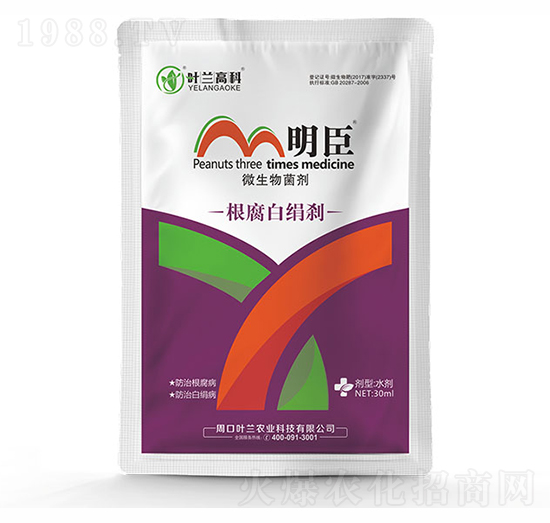 根腐白絹剎-明臣-葉蘭高科