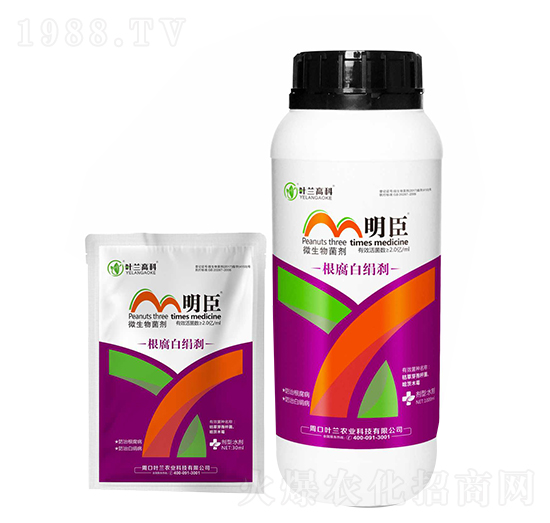微生物菌劑-根腐白絹剎-明臣-葉蘭高科
