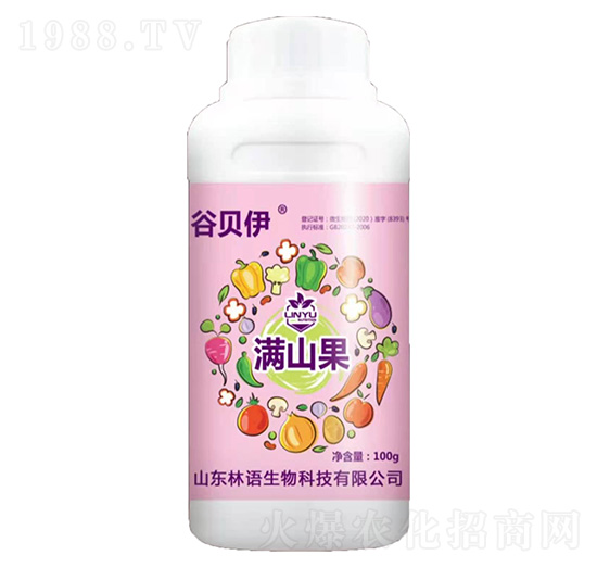 �Mɽ��-��ؐ��-���Z(y��)����