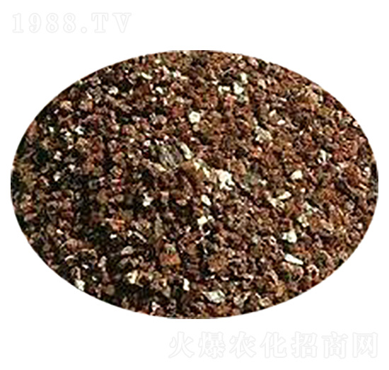 ������|(zh��)-�ݸ����B(t��i)