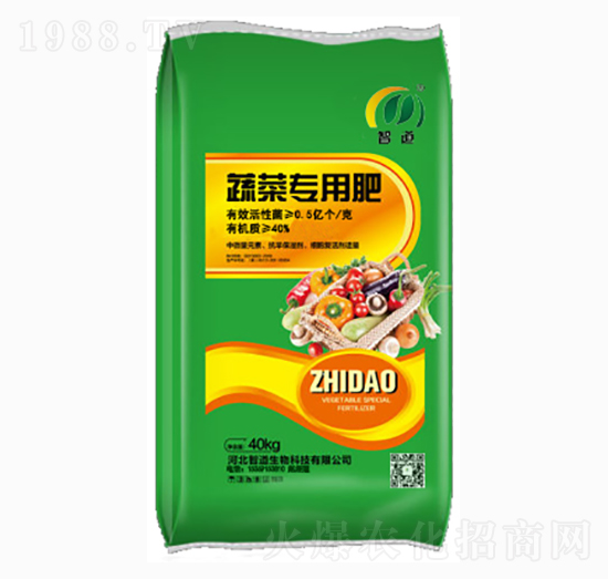 �߲ˌ��÷�-�ǵ�