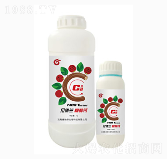 �Ǵ��}-����m-��ؾG