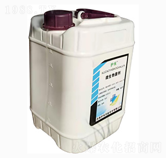 ΢�������-�o(h��)���r(n��ng)�I(y��)