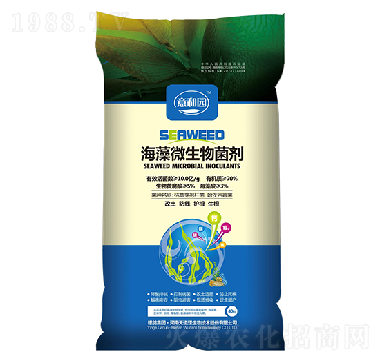 ����΢�������-�o����