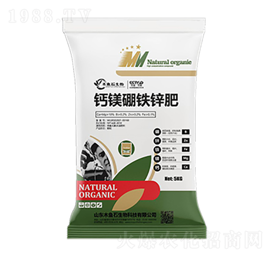 �}�V���F�\��-ľ�~ʯ����