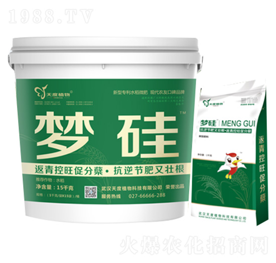 ����-���ֲ��