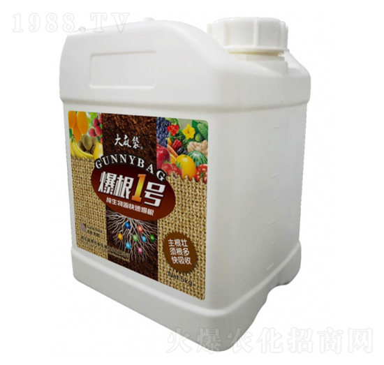 爆根1號-大麻袋-昆騰農(nóng)業(yè)