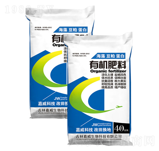 �ЙC����-�߿���