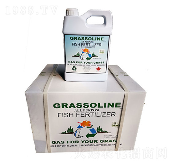 ���ô��M(j��n)����q�~��-��Ŭ��-�f��