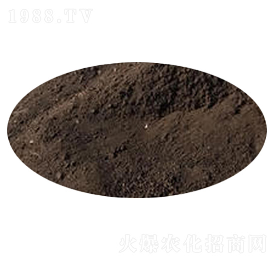 ���켃��S-�_���r�I(y��)