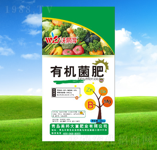 �ЙC(j��)����-���׵�-������r(n��ng)