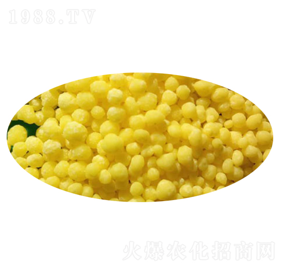 �w�������@�}-ֲ����