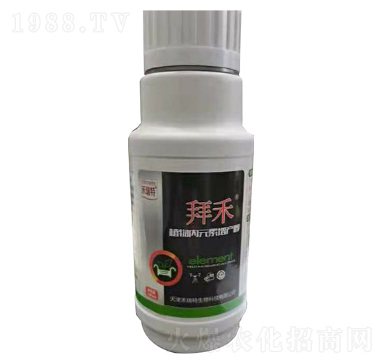 ƿ�b�ݺ�-������