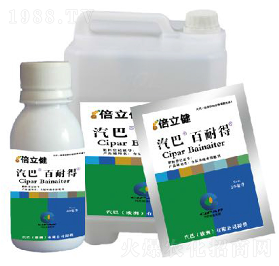 ���͵�-������-�����r(n��ng)�I(y��)