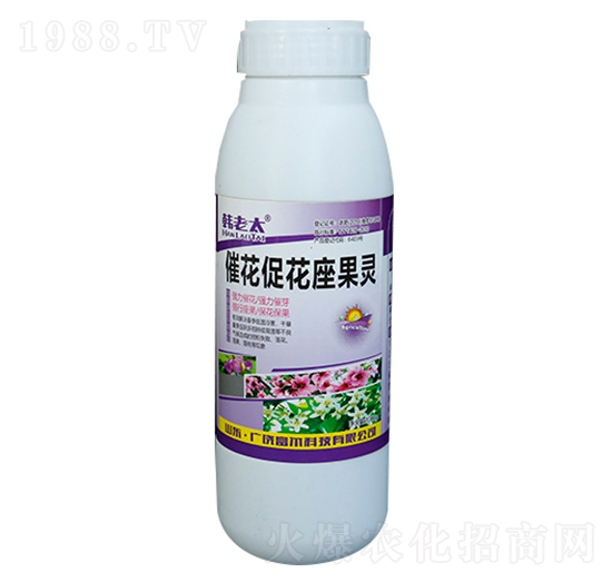 �߻��ٻ������`-�����Ƽ�