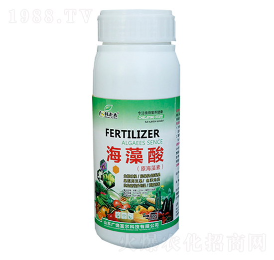 ������-�����Ƽ�