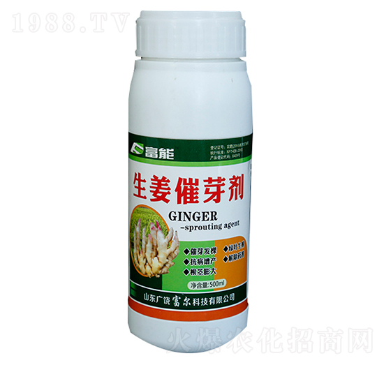 ������ѿ��-�����Ƽ�