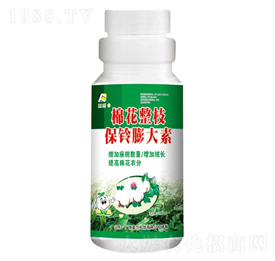 �޻���֦��������-�����Ƽ�