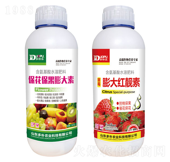 �������������+���t�n��-�����Ƽ�