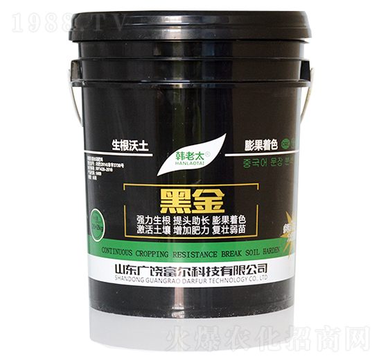 �ڽ�-�����Ƽ�