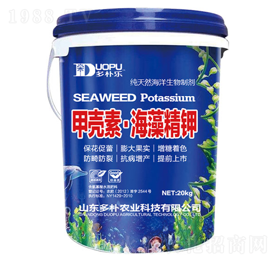 �ך��ء����徫�-�����Ƽ�