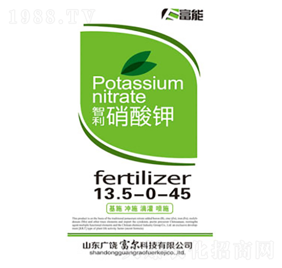 �����-�����Ƽ�