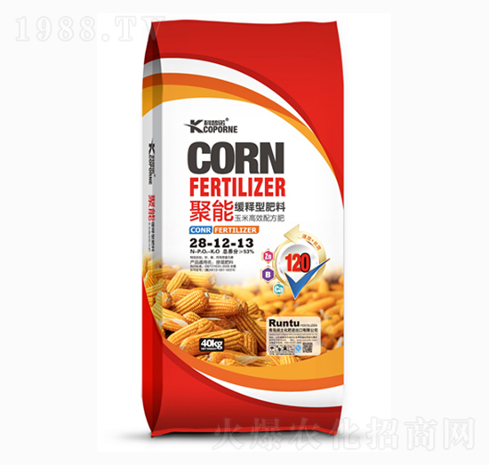 ��ጷ���28-12-13-�����Z-��(r��n)��