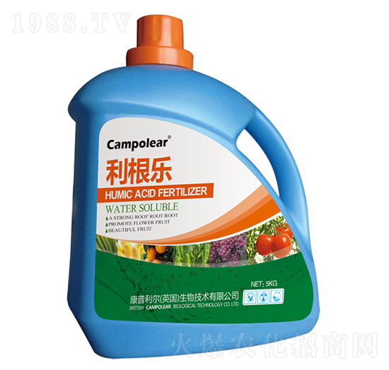 ������-��������