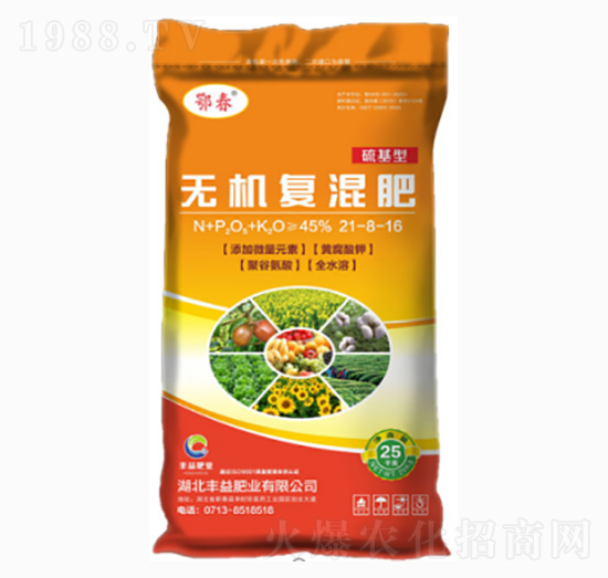 ����͟o(w��)�C(j��)��(f��)���21-8-16-�S��ʘI(y��)