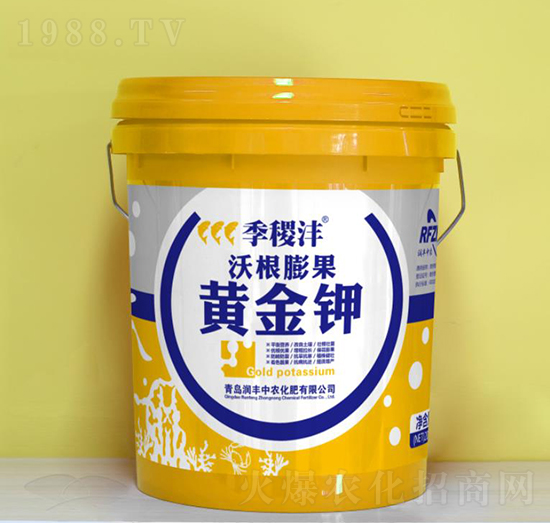 �ָ�����S���-���S���r