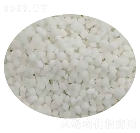 �����@�w��-���M(m��n)̩-��ɭ�ʘI(y��)