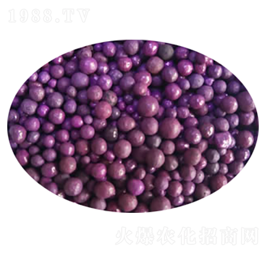 �ϰ��·����w��-���M̩-��ɭ�ʘI(y��)