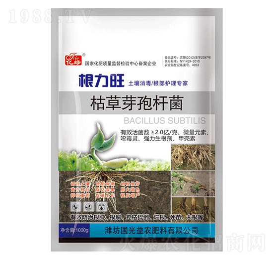 �ݲ�ѿ�ߗU��-�������r