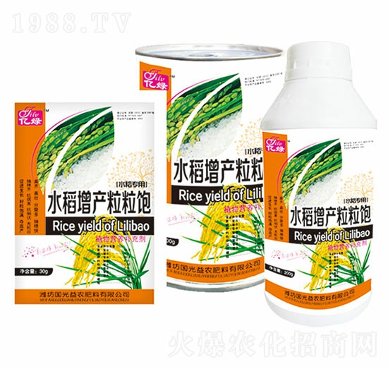 水稻增產(chǎn)粒粒飽-國光益農