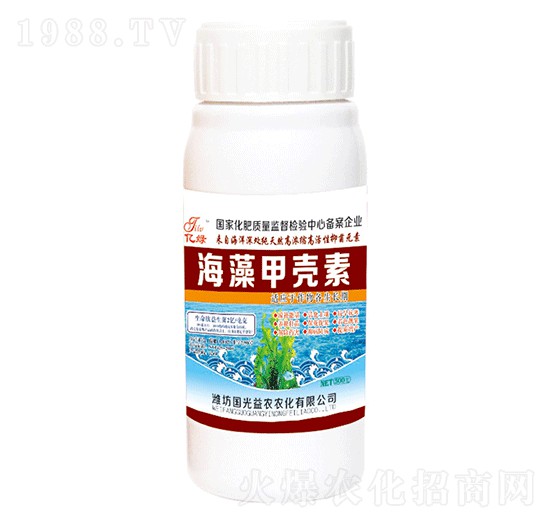 ����ך���-�������r