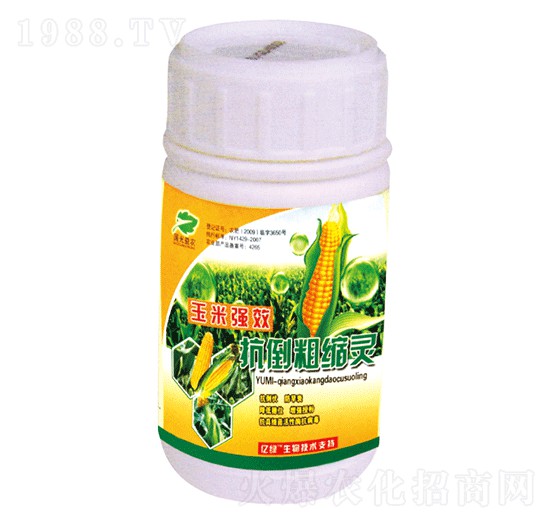 ���׿����ֿs�`-�������r