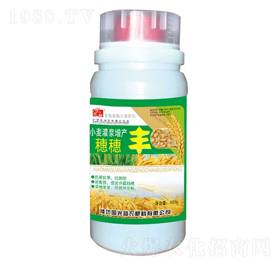 С�����{���a�����S-�������r