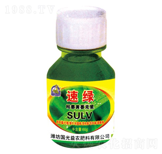 ��ή�Sή����-�پG-��(gu��)�����r(n��ng)