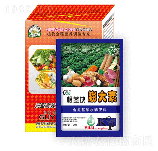 ���o�K�����-�������r