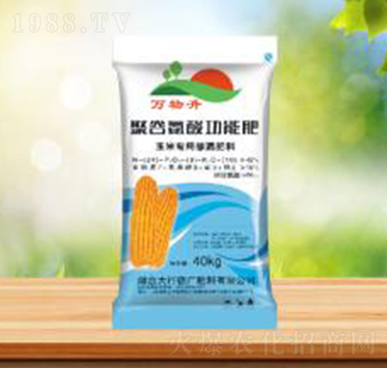 ���׌�(zhu��n)�þ۹Ȱ��Ṧ�ܷ�-ʢ�A�r(n��ng)�I(y��)