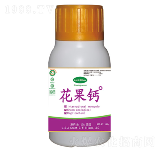 �M�����ϑB(t��i)�̷��}-�����}-���A��